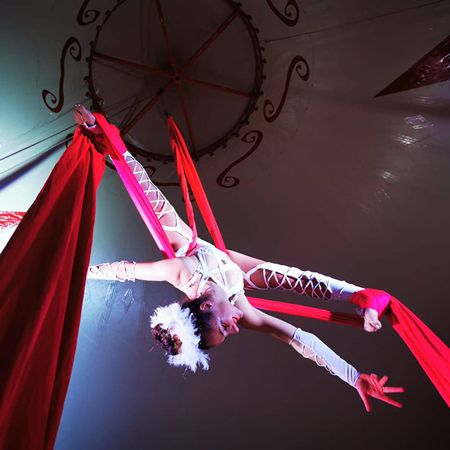 Aerial Silks Performer Italy