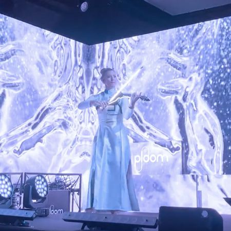 Video Mapping Violin Show