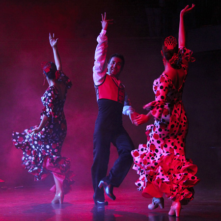 Spectacle de flamenco espagnol classique