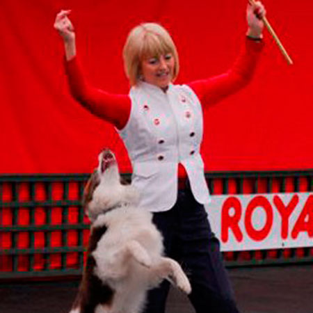Dog Freestyle Performers