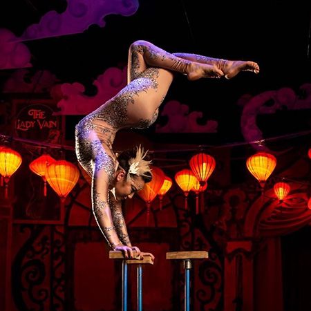 Handstand Canes Contortion