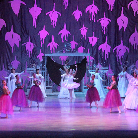 Ballet Shows Dominican Republic