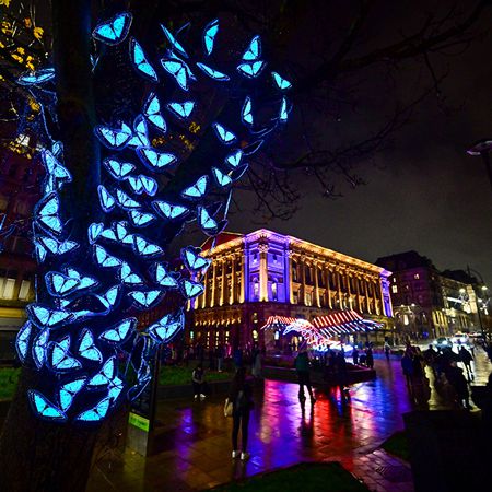 Farfalle Installazione luminosa