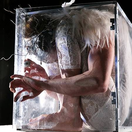 Hand Balancing Contortionist
