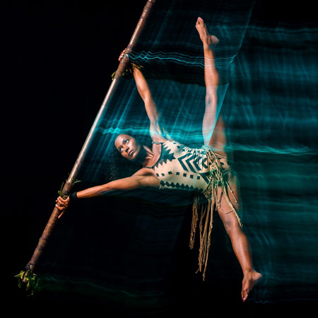 Hire Pole Aerialist Las Vegas – Pole Aerial Act