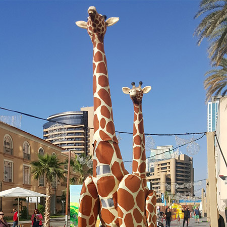 Giant Walkabout Giraffes