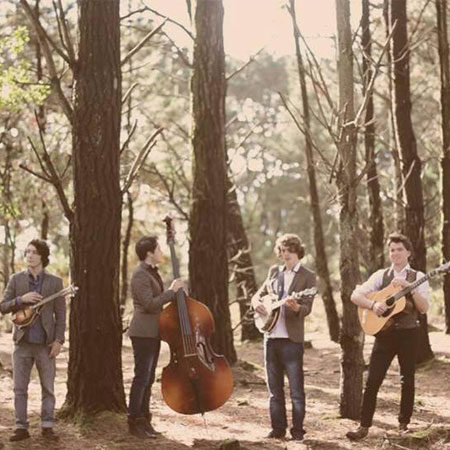 Folk Bluegrass Music Band