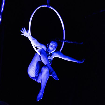 Ocean Themed Aerial Hoop Show