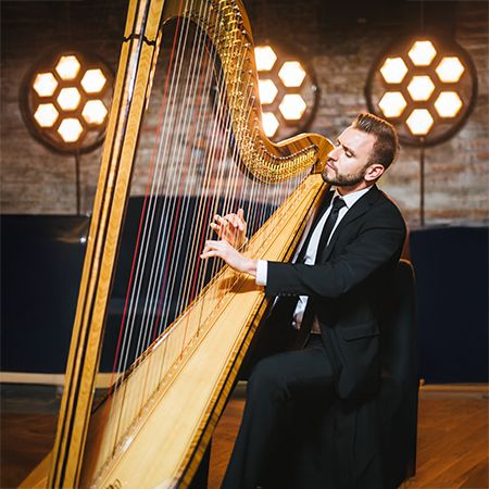 Professional Harpist Berlin