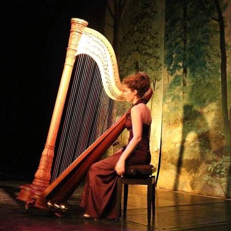Harpeur belge