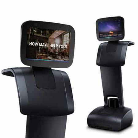 Roaming Assistant Robot 