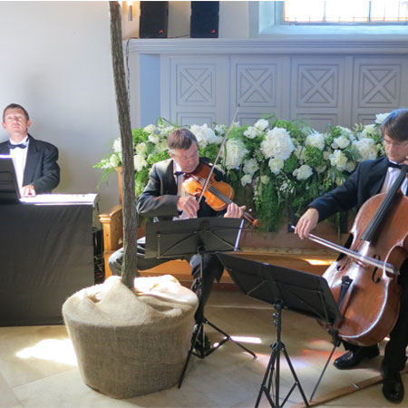 Trio de Ceremonia Instrumental