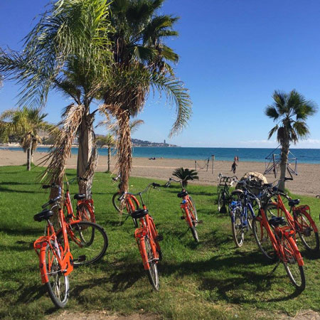 Tour in bicicletta lungo la costa di Malaga