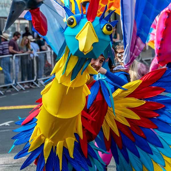Marionette di grandi uccelli colorati