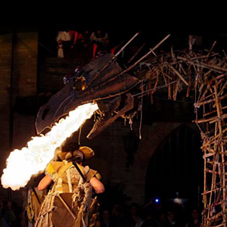 <span>Spettacolo del Drago Medievale</span>