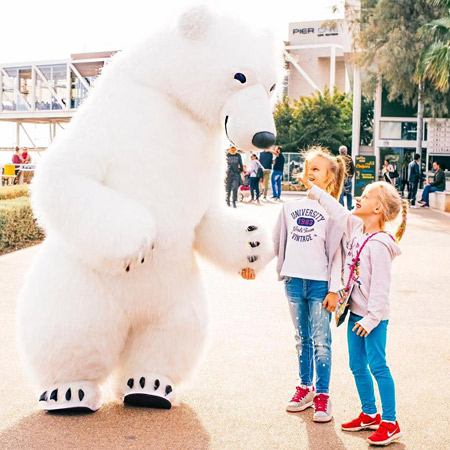 Roaming Polar Bear