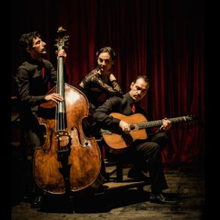 Gypsy Swing Trio