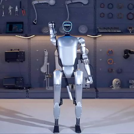 Walkabout Humanoid Robot