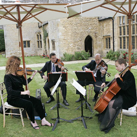 Custom String Quartet