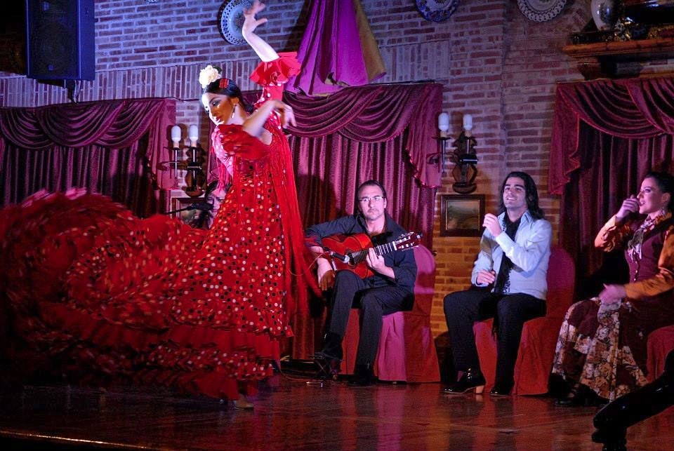 Flamenco que hace caca