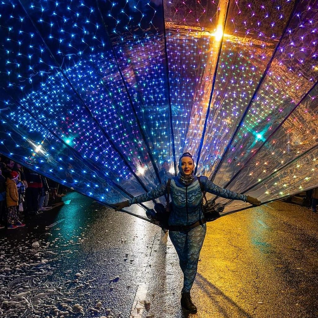 Giant Illuminated Peacock Tail