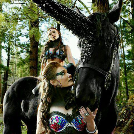 High-End Equestrian Show