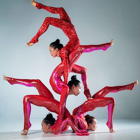 Angara Contorsion