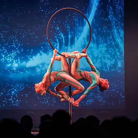 Circus Aerial Act Germany