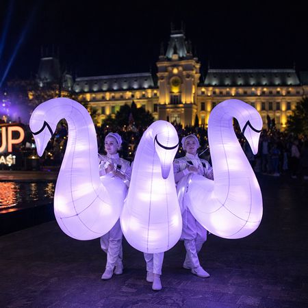 Illuminated Inflatable Swans