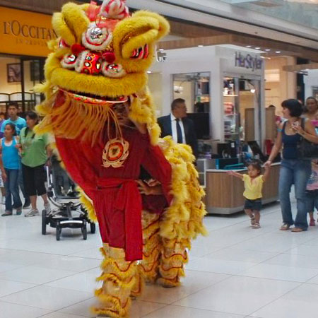 Chinesische Drachen & Löwen Mexiko