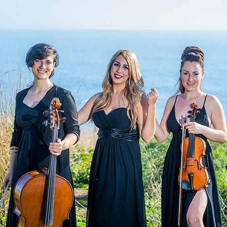 Trio vocal et cordes élégant