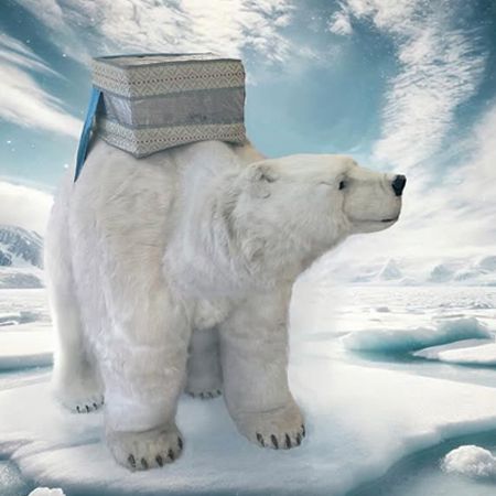 Oso Polar Interactivo