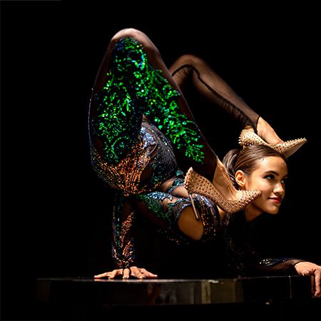 Contortion Circus Las Vegas
