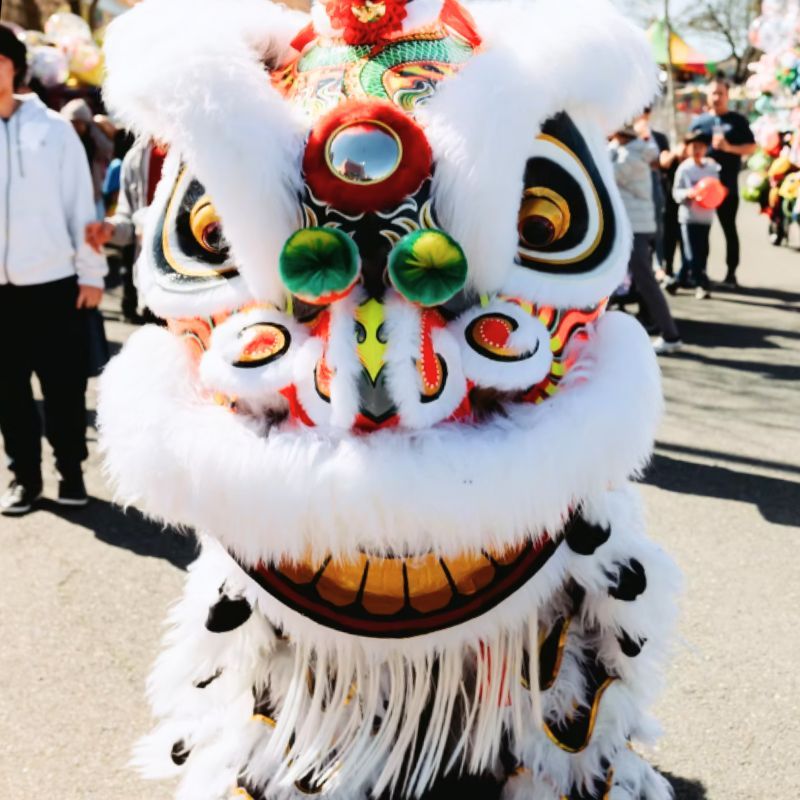 Chinese Lion & Dragon Dance CA