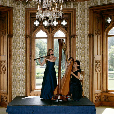 Flute and Harp Duo - Harp Player | Book Wedding Entertainment