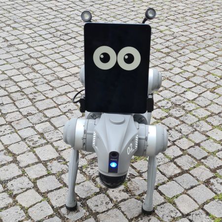 Roboterhund Fotoaktivierung