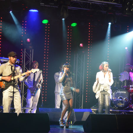 Chic Tribute Show