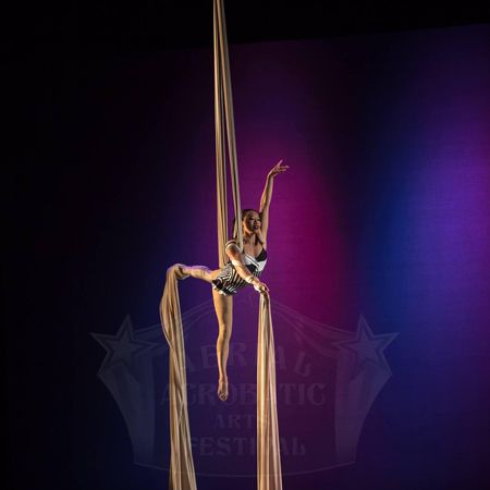 Aerial Artist Seattle