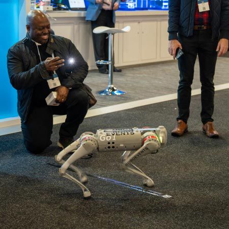 Chiens Robots Australie