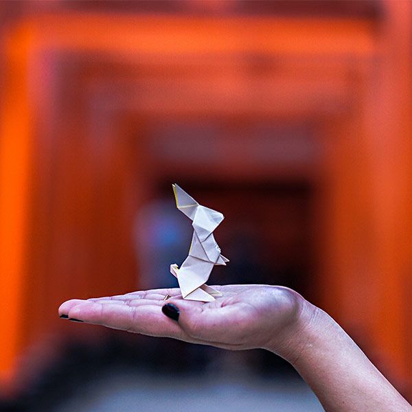 Animation Origami sur mesure