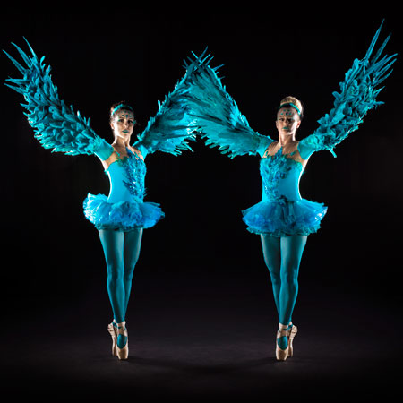 Feathered Wings Ballet