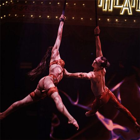 Aerial Cirque Duo