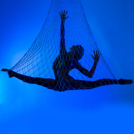 Aerial Net Performer