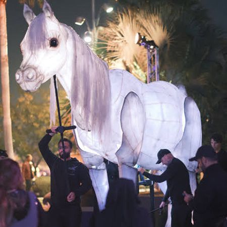 Pupazzo a forma di cavallo