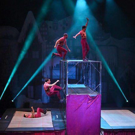 Trampoline Wall Show