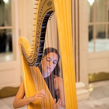 Special Event Harpist London
