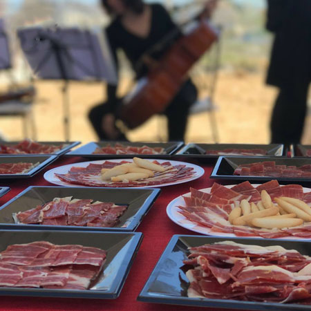 Madrid Gastro Ham Service