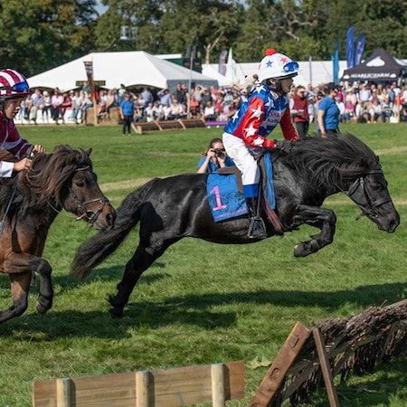 Shetland Pony Show