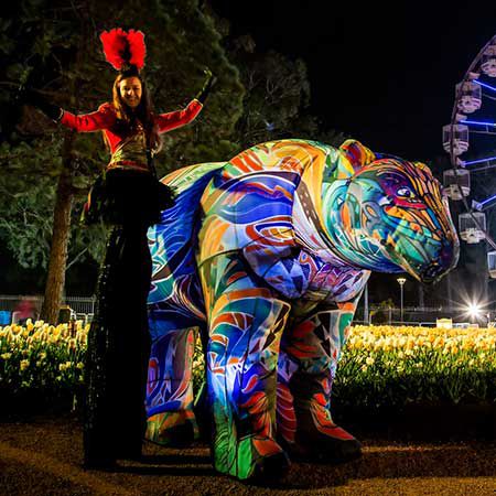 Walkabout LED Rainbow Bear
