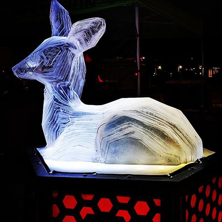 Forest Animal Light Sculptures
